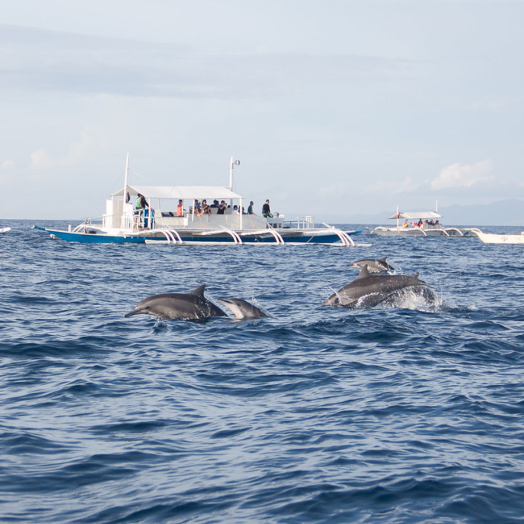 Discover your next great escape.